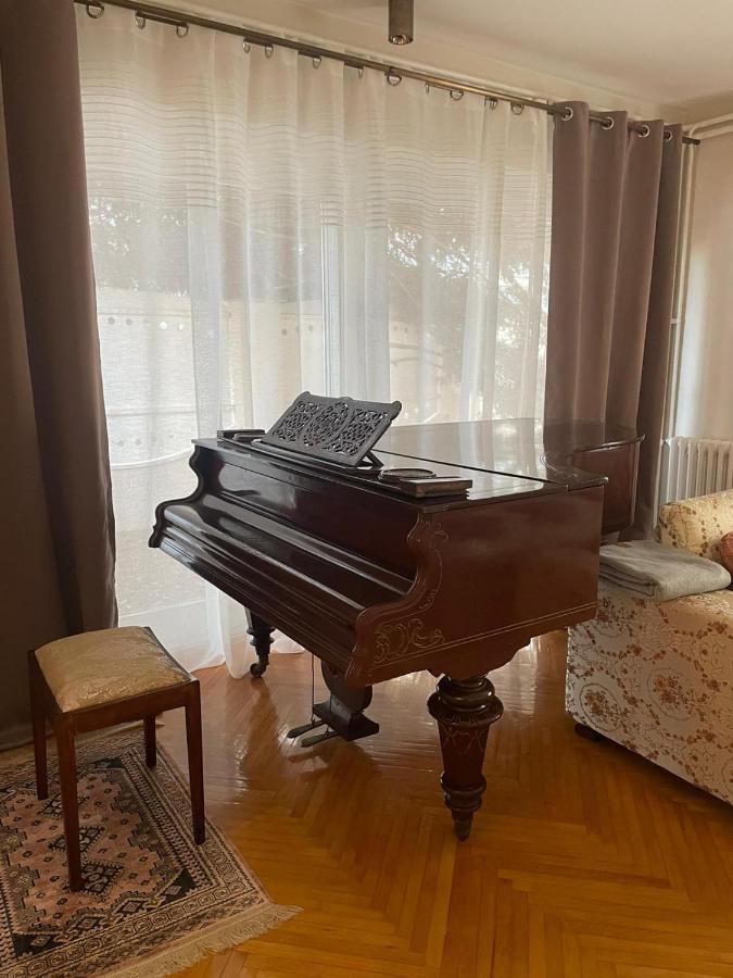 Appartement La Casa Tamaris à Senta Extérieur photo